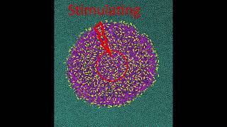 Nanoliposome formation of unsaturatedsaturated lipid mixture [upl. by Rozanne]