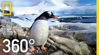 360° Antarctica  Journey Through The Ice  National Geographic [upl. by Juliette]