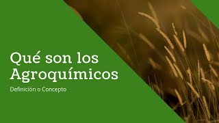 Qué son los Agroquímicos [upl. by Roselyn185]