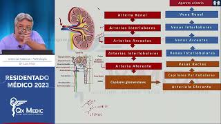 Ciencias Básicas en Nefrología 2023 [upl. by Gean580]