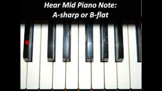 Hear Piano Note  Mid A Sharp or B Flat [upl. by Nehgem]