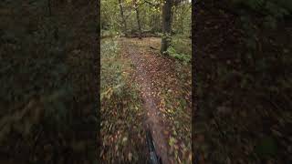 kleiner Hometrail auf YT decoy core 1 mx [upl. by Nynahs]