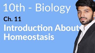 10th Class Biology Chapter 2  Introduction About Homeostasis  Class 10 Biology Chapter 2 [upl. by Ailekahs]