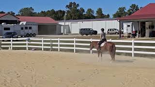 2024 show 5 Bella bowen and Wendell hunter under saddle [upl. by Inalaehak]