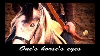 Ones Horses eyes [upl. by Emalee190]