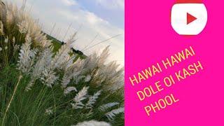 Hawai Hawai Dole Oi Kash Phool 💐🌺💐🌺 [upl. by Eimor70]