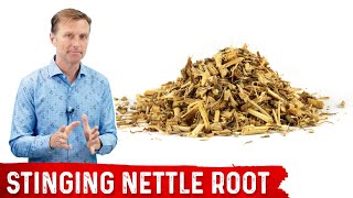 5 Benefits of Stinging Nettle Root [upl. by Luann]