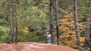 Pulpit Rock amp Fern Dell Trails 2020  Mirror Lake State Park Baraboo Wisconsin [upl. by Lynna921]