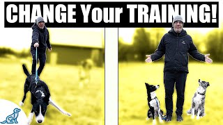 Here’s Why Dog Trainers Dogs Get Trained So Quickly [upl. by Akapol179]