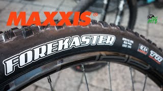 The PERFECT wet Tire  Maxxis Forekaster  Quick Check vs Rekon Race [upl. by Richy]