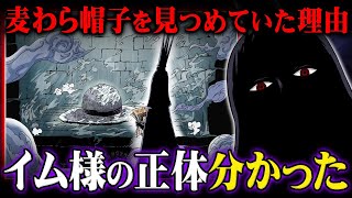 イム様のヤバすぎる正体判明。ジョイボーイとの関係はガチでこれかもしれません【 ワンピース 考察 最新話 】※ネタバレ 注意 [upl. by Faith]