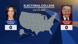 How does the electoral college work [upl. by Nauh]