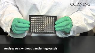 Corning® Spheroid Microplates  Assay and analyze 3D spheroids in the same microplate [upl. by Ytrebil717]