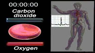 ce qui est le taux dhémoglobine Hb anémie test sanguin [upl. by Finzer]