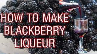 HOW TO MAKE HOMEMADE BLACKBERRY LIQUEUR  CRÈME DE MÛRE [upl. by Esital]