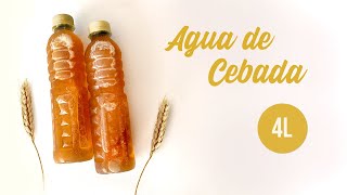 Agua  Refresco de cebada con linaza para negocio  Recetas Copy [upl. by Greyson]