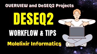 DESeq2 Bioinformatics Projects [upl. by Thorrlow413]