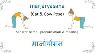 Sanskrit for Yoga  Cat Cow Pose [upl. by Monteria]