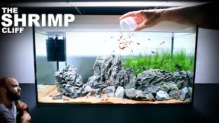 The Shrimp Cliff NEW Shrimp Setup for Neocaridina Aquascape Tutorial [upl. by Meehsar]