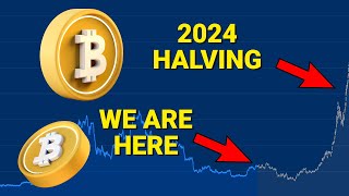 Bitcoin Halving Price Prediction 2024 🚀 Will Bitcoin Price Hit 100000 [upl. by Ellednahs592]