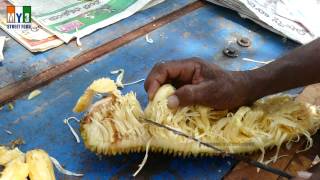 JACK FRUIT  PANASA PANDU  JacaDura  Nangka  Varikka  Koozha  Khaja Kathal  Waraka [upl. by Nahs131]