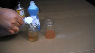 The Worlds Best Fruit Fly Trap Ever [upl. by Mela6]