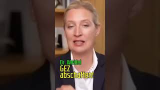 Weidel GEZGebühren abschaffen [upl. by Faxon709]