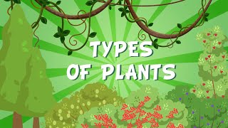 TYPES OF PLANTS  Educational Videos for Kids [upl. by Elspeth]