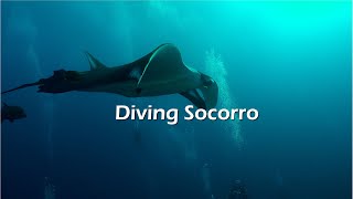 Diving Socorro Islands  Dec 2021 [upl. by Waylin]