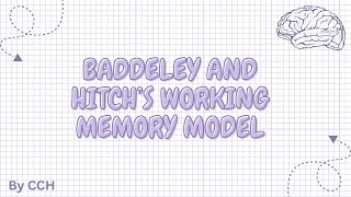 AQA ALEVEL PSYCHOLOGY  Memory Baddeley and Hitch’s Working Memory Model [upl. by Goode]