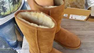 UGG Classic Tall Chestnut 5815 [upl. by Nonnaer]