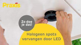 Halogeenlampje vervangen door LED  Stappenplan  Praxis [upl. by Attenwad]