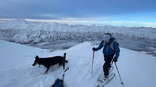 Alaska Backcountry Skiing 13 YO skier Couple of days [upl. by Arahk]