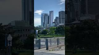 Montreal city tour Canada toour viral visit tourism [upl. by Rebbecca]