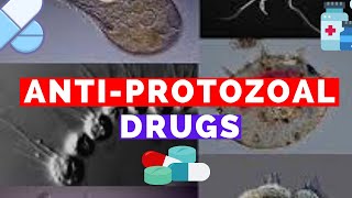 Antiprotozoal Drugs  Metronidazole Bactrim Suramin Pentamidine Eflornithine Fansidar [upl. by Gamal]