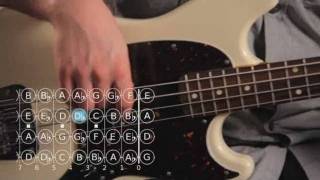 How to Play a Diminished 7th Chord  Bass Guitar [upl. by Ana]