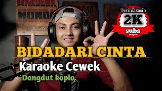 Bidadari cinta  karaoke tanpa vokal cewek dangdut koplo [upl. by Nehgam]