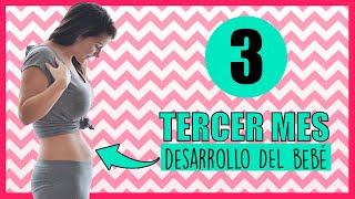 ❣️ TERCER MES de EMBARAZO como esta el BEBE 🤰 Qué se SIENTE en el vientre a los 3 meses de embarazo [upl. by Ogu261]