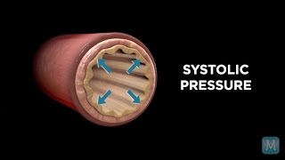 Systole vs Diastole  Match Health [upl. by Eudo]