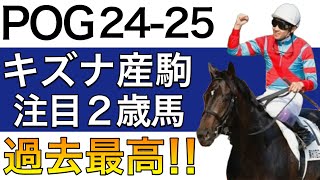 【POG24−25】キズナ産駒の注目２歳馬をリストアップ！【過去最高の世代⁉︎次シーズン向け】 [upl. by Takeshi407]