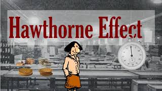 The Hawthorne Effect  Or Why Everything Works [upl. by Idac]