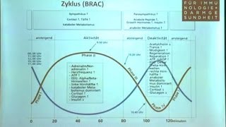 Vitamin D  Darmgesundheit und nicht nur zur Knochengesundheit  mit Antje Rössler [upl. by Enerod]