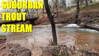 Backyard Brown Trout  Fishing a Suburban New Jersey Creek [upl. by Chuch292]