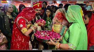 साँचौर की सबसे highlight शादी । Dr Mahesh weds Indra Bishnoi  Wedding song  Kailash Bishnoi [upl. by Fitalludba538]