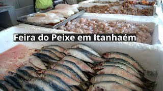 Feira do Peixe em Itanhaém [upl. by Esekram]