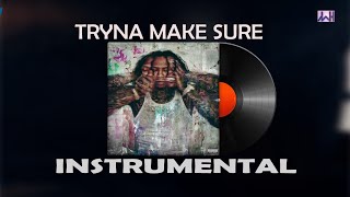 Moneybagg Yo TRYNA MAKE SURE Instrumental [upl. by Nightingale326]