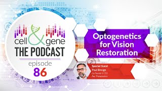 Optogenetics for Vision Restoration with Ray Therapeutics Paul Bresge [upl. by Uliram926]