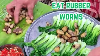 Green Vegetables and Chili Peppers Expert Shares Shocking Rubber Worm Eating Hack [upl. by Llenaj934]