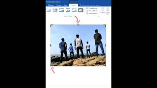 How to Crop Picture in Microsoft Word  Microsoft Word ⏩ [upl. by Shoshana]