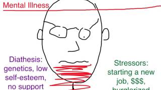 PTSD Diathesis Stress Model [upl. by Filippa697]